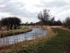 Wicken Fen