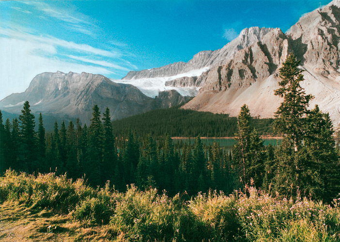 Rockies